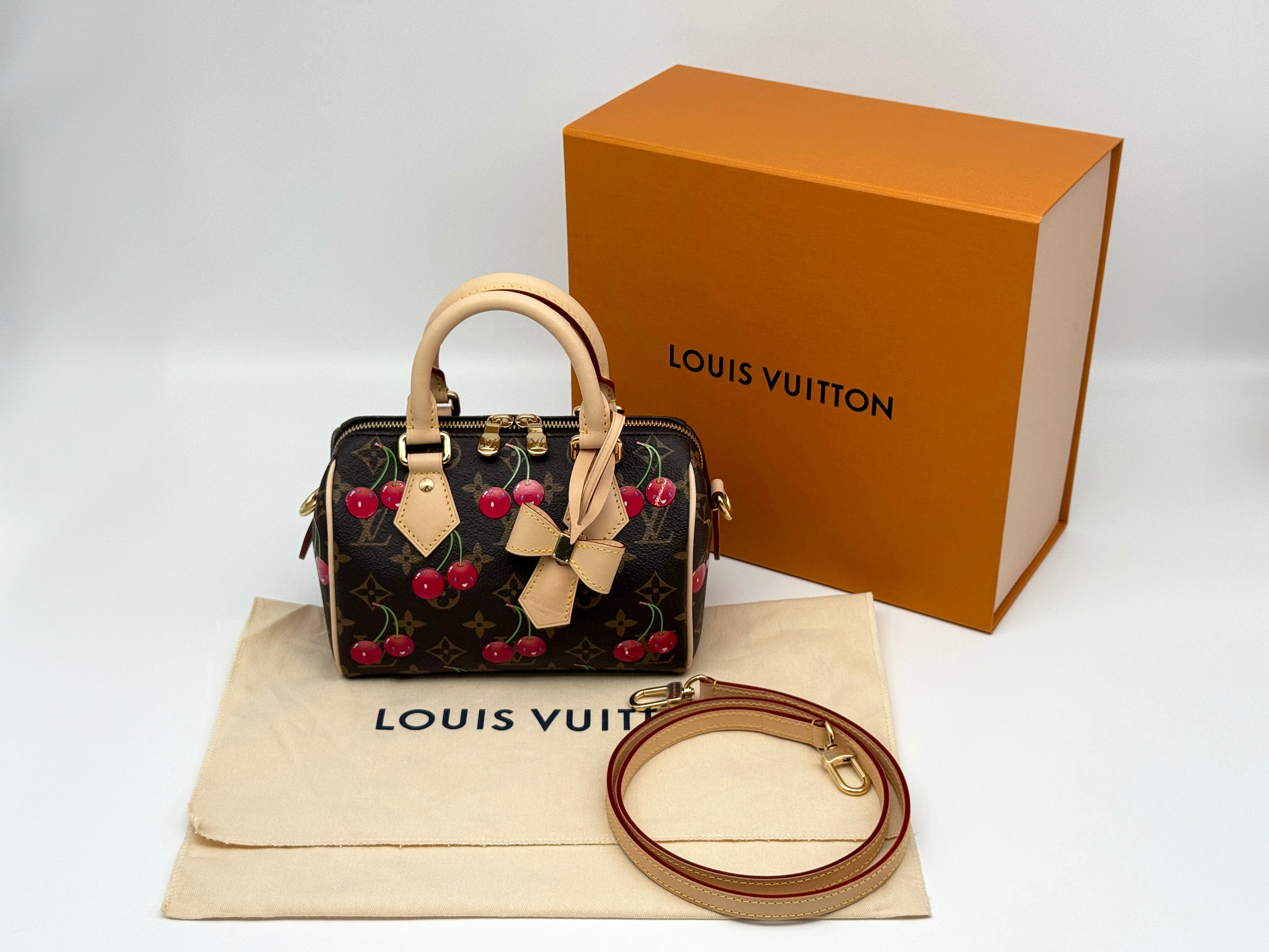 Louis Vuitton Speedy 20 Bandouliere
