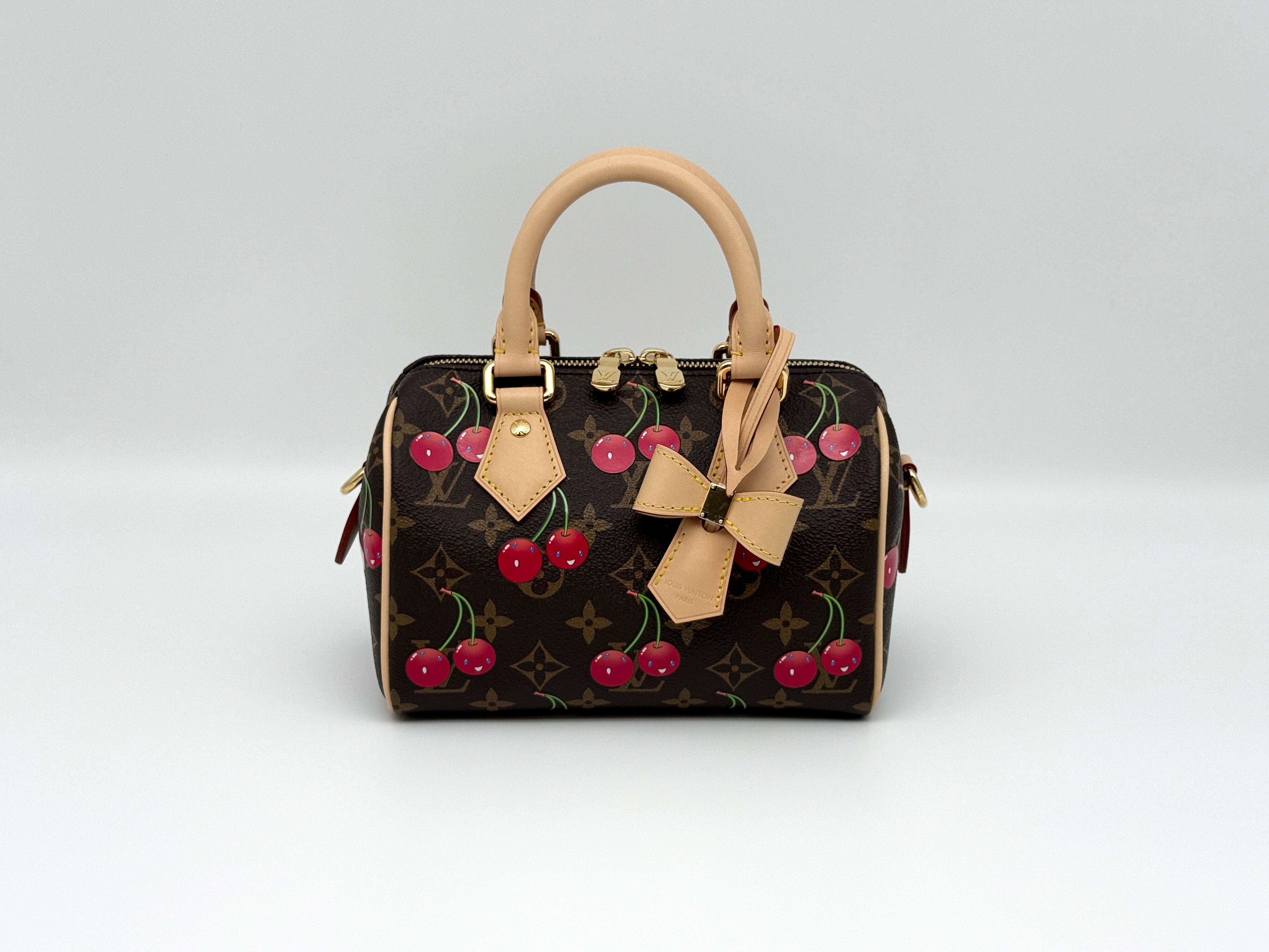 Louis Vuitton Speedy 20 Bandouliere