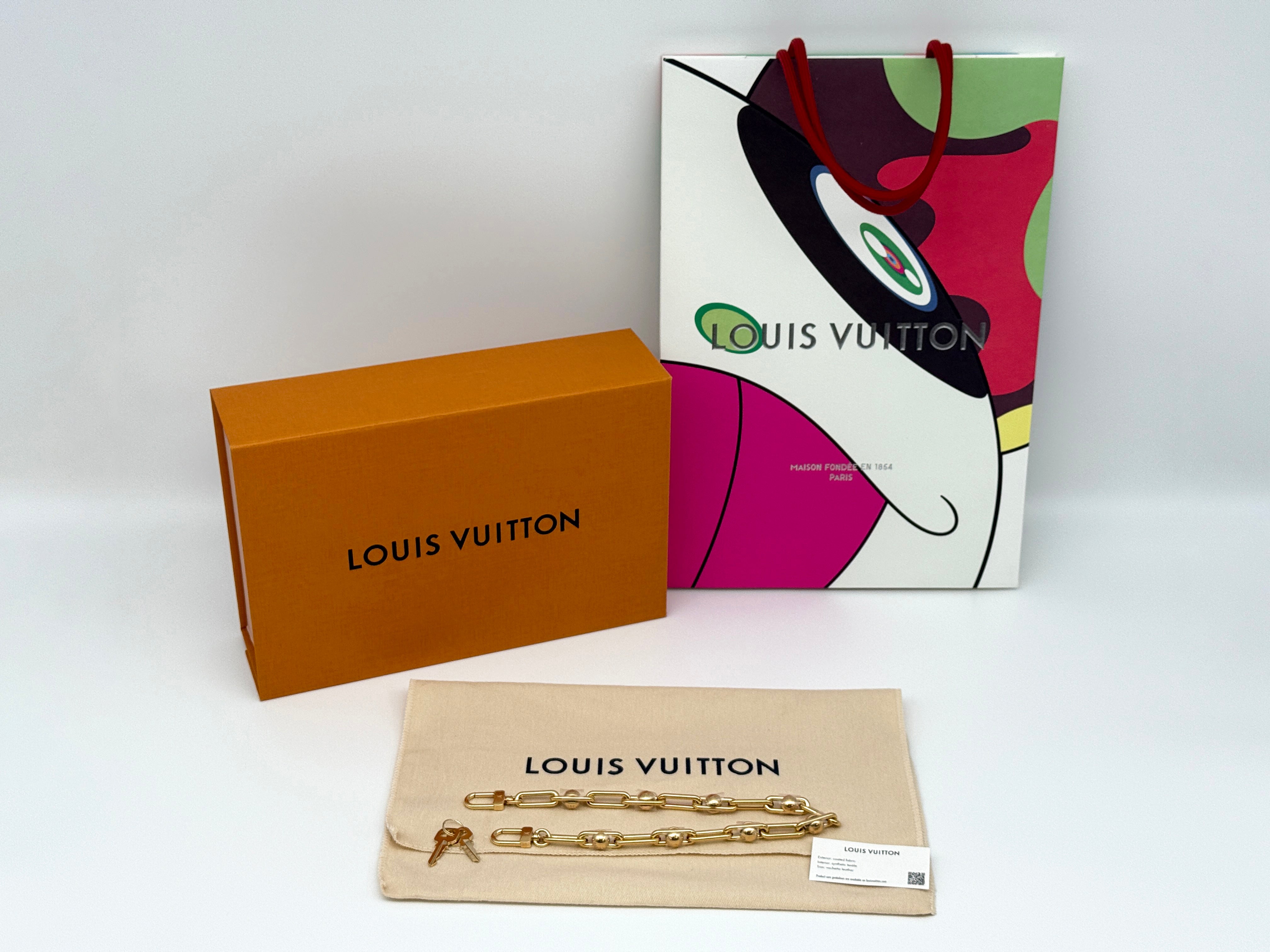 Louis Vuitton Pochette Accessoires