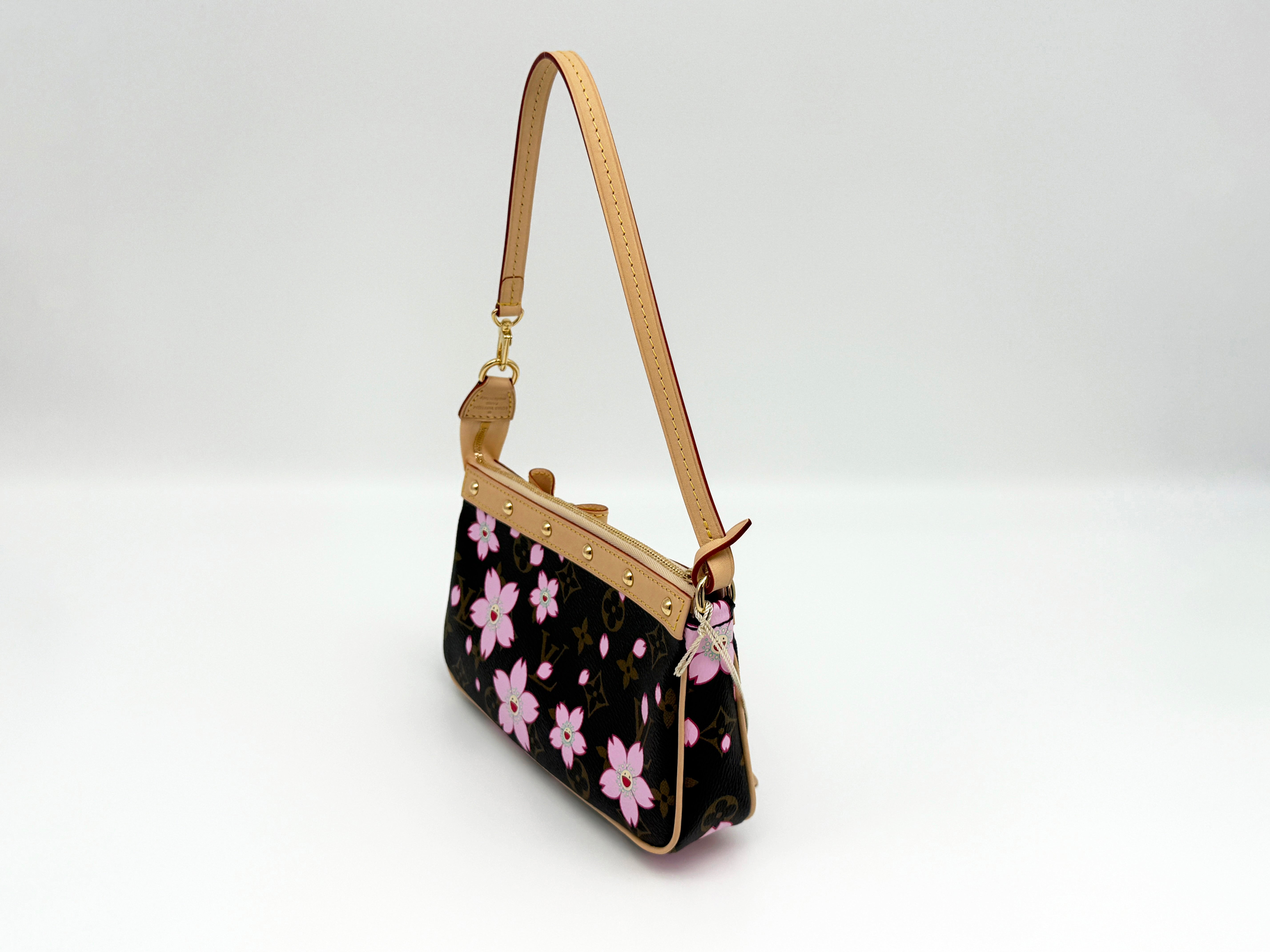 Louis Vuitton Pochette Accessoires