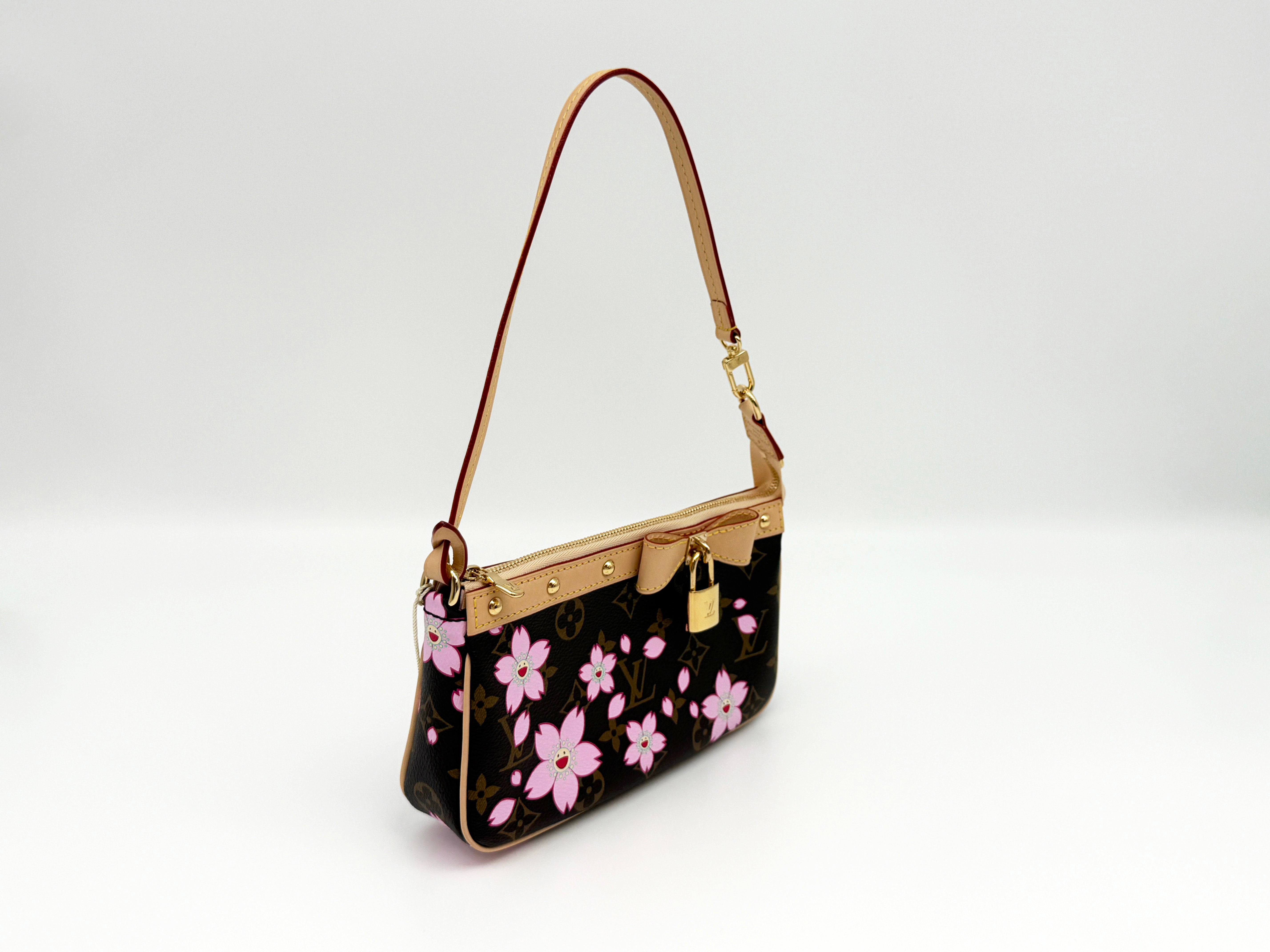 Louis Vuitton Pochette Accessoires