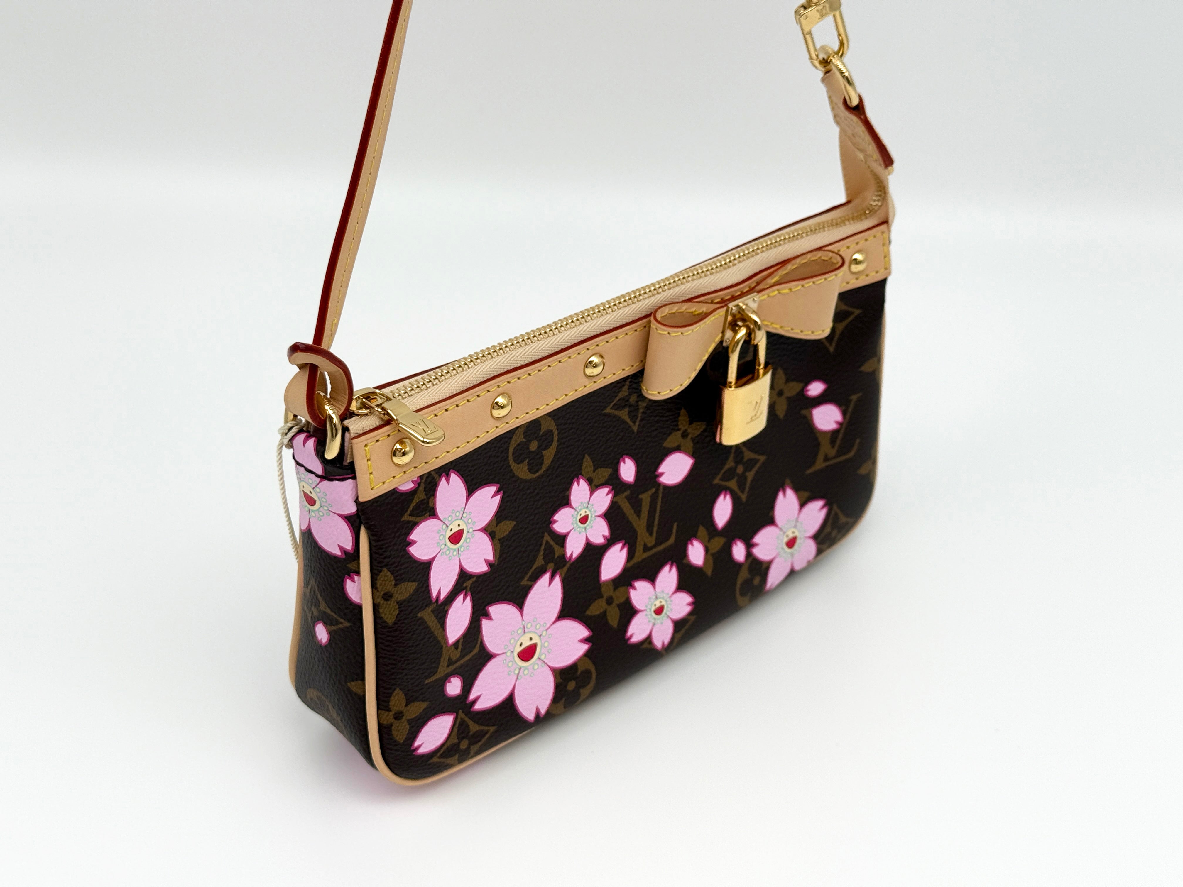 Louis Vuitton Pochette Accessoires