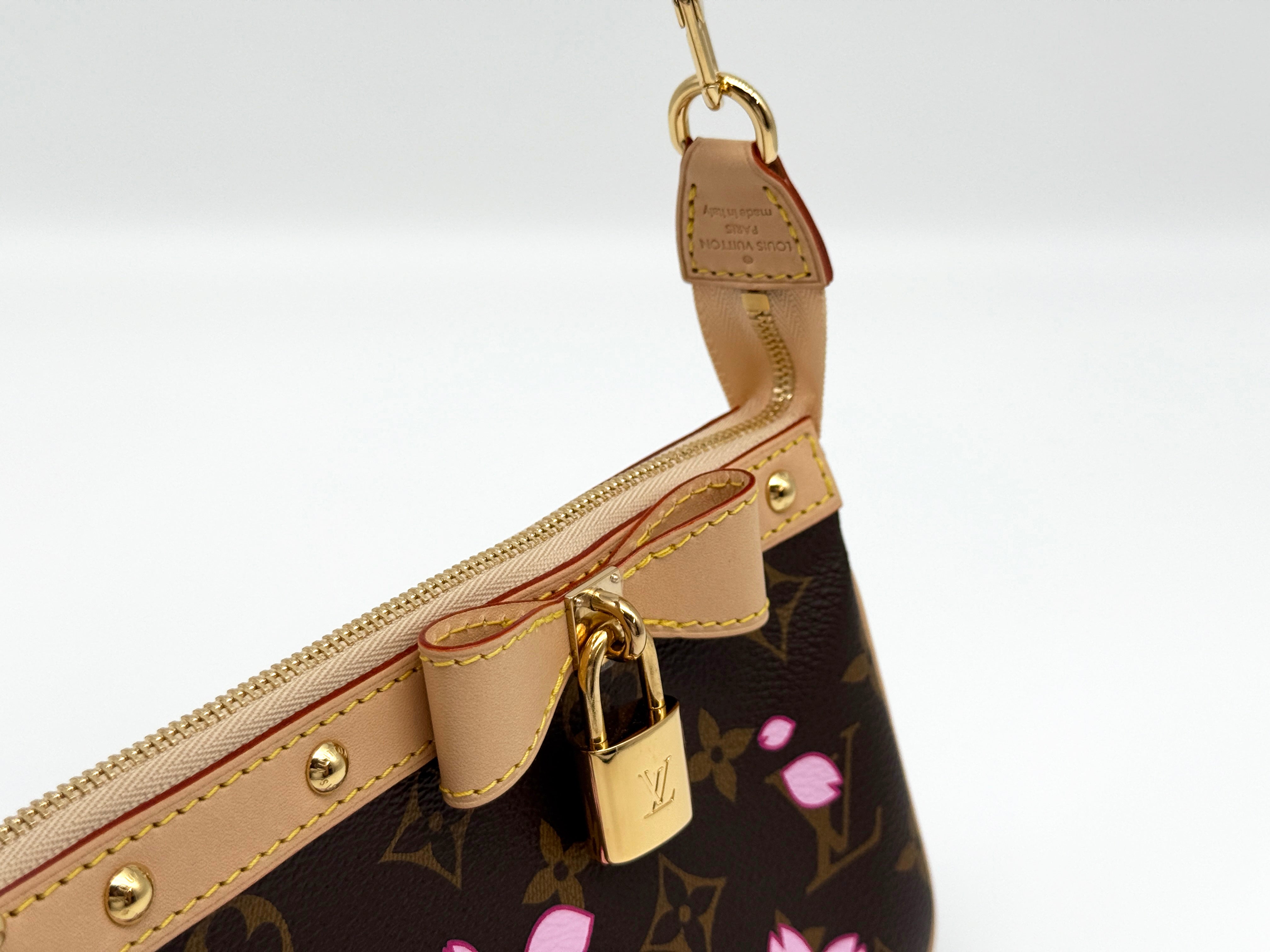 Louis Vuitton Pochette Accessoires