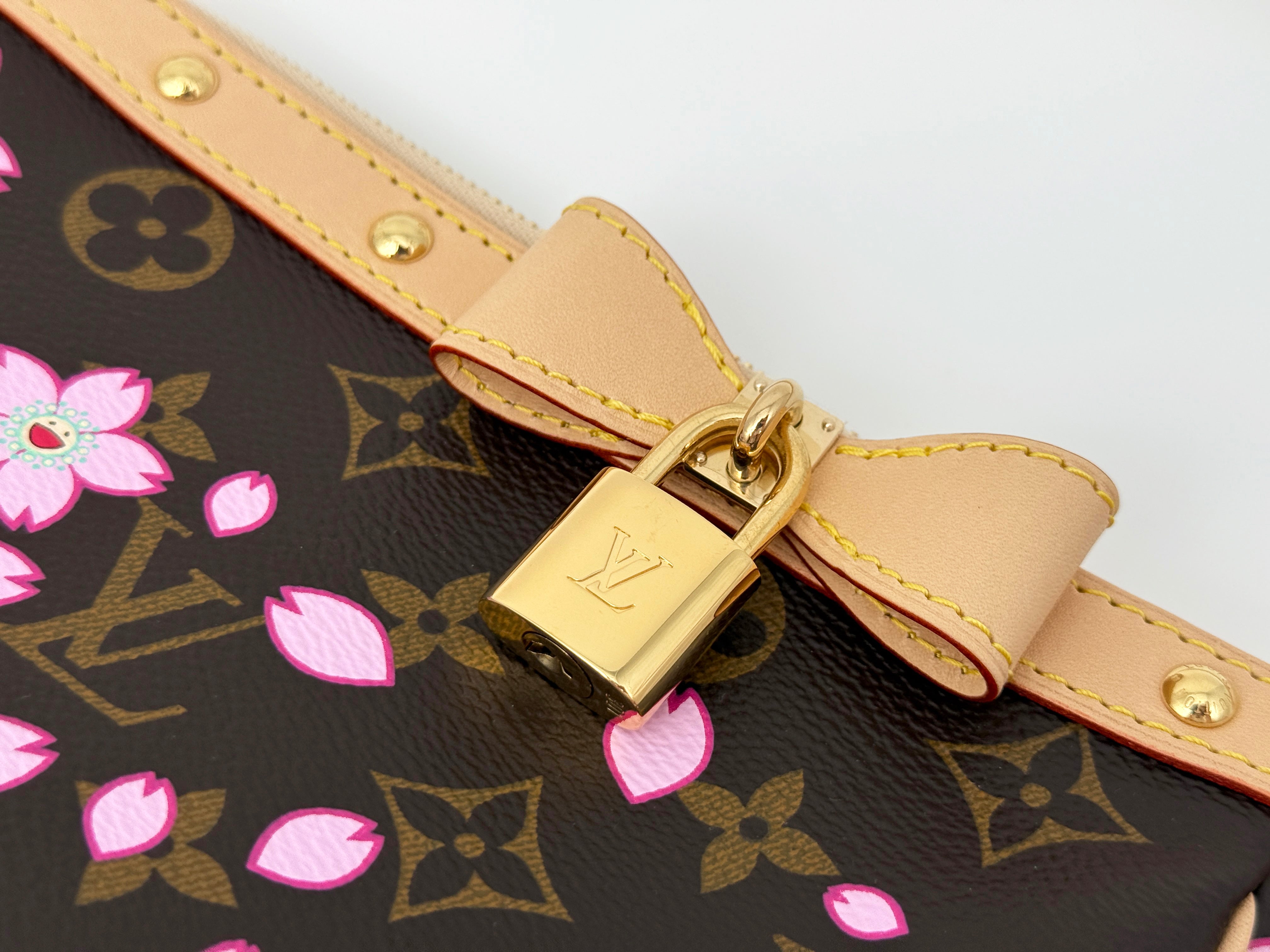 Louis Vuitton Pochette Accessoires
