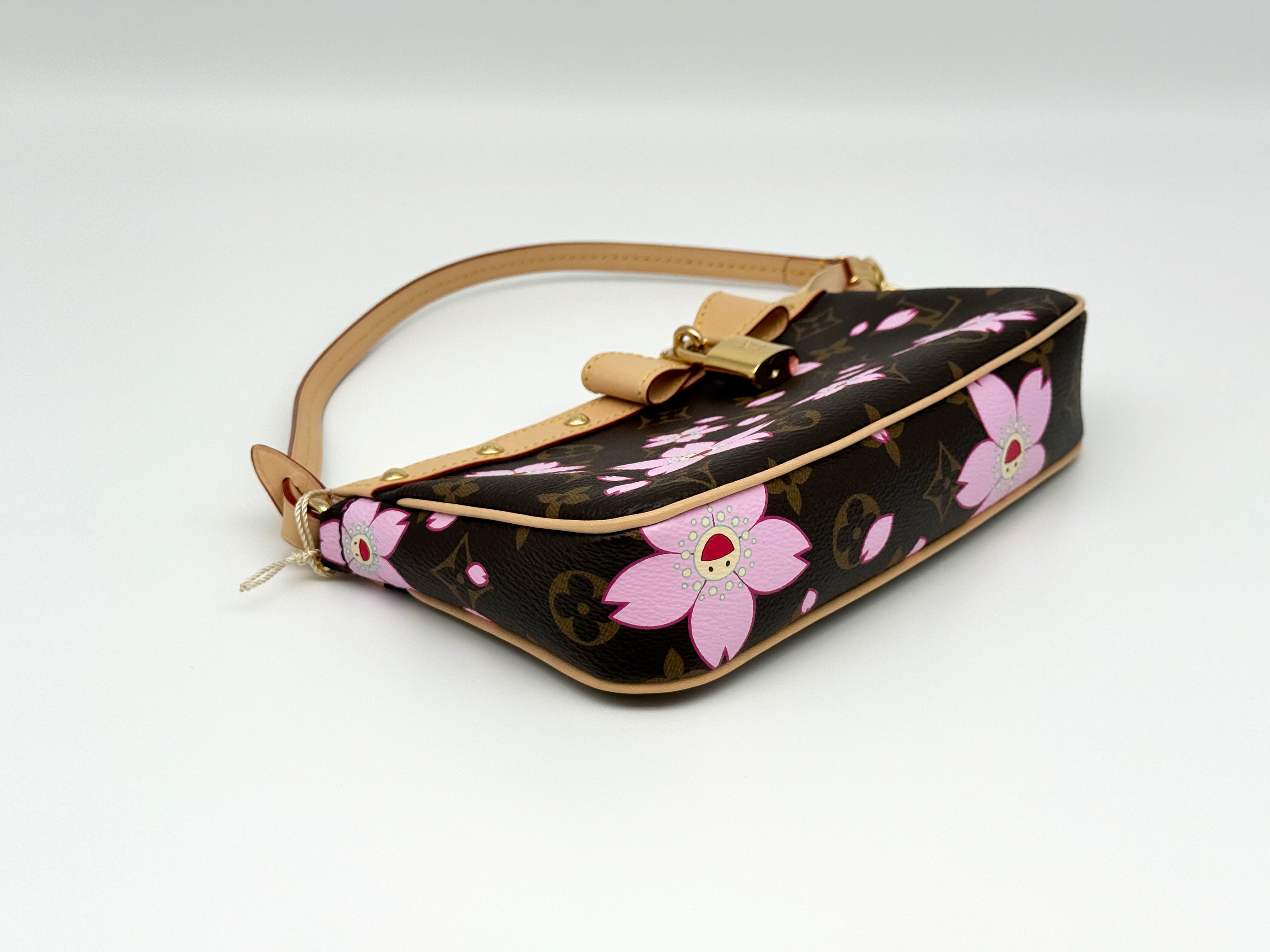 Louis Vuitton Pochette Accessoires