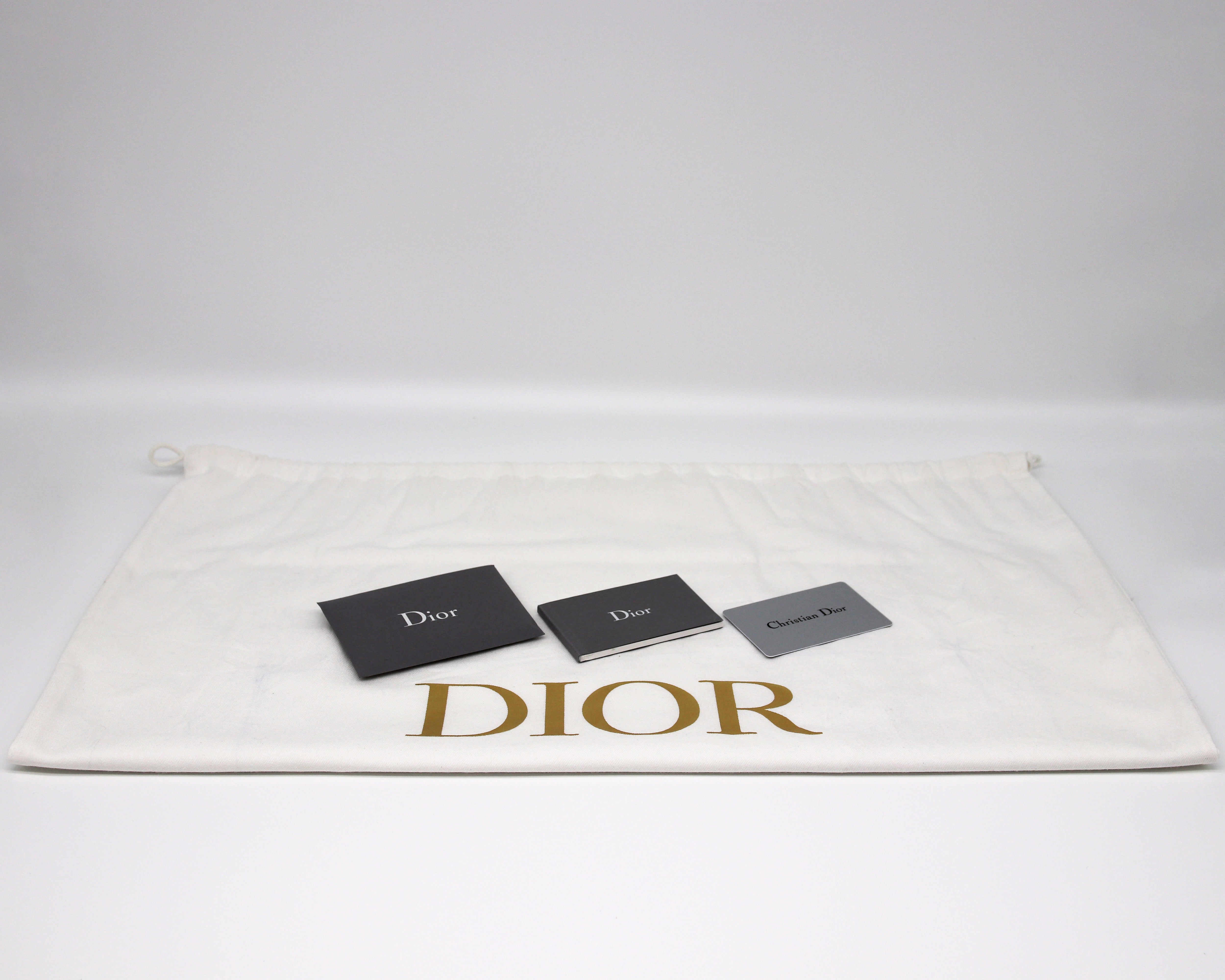 Dior Large Book Tote